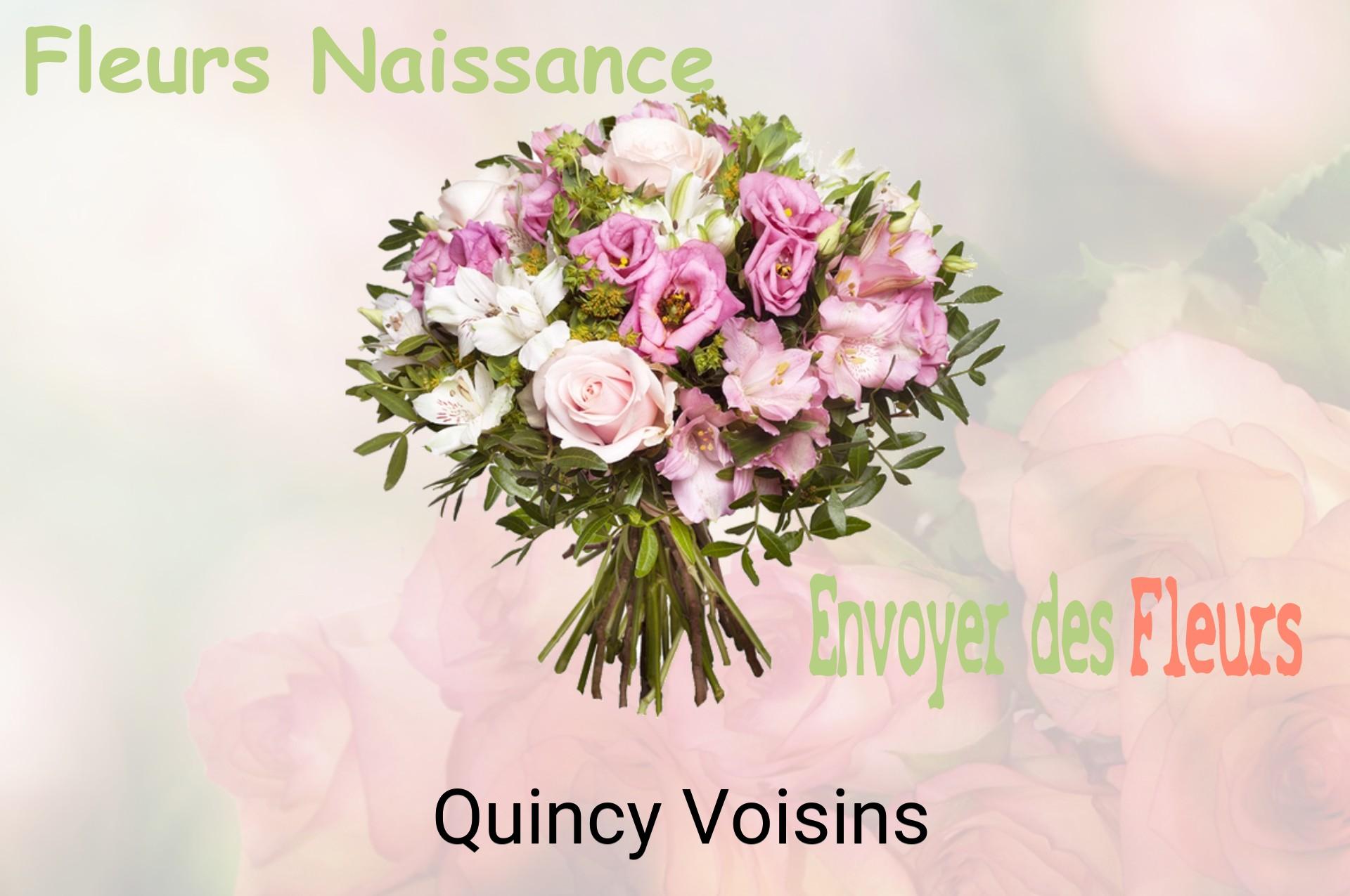 Bouquet de fleurs de naissance livré à Quincy-Voisins